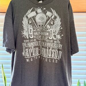Harley-Davidson 110th Anniversary Men’s Graphic T-Shirt — Charcoal